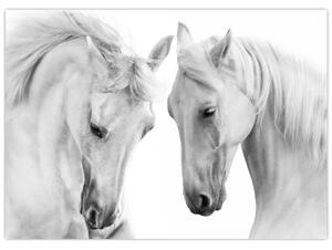 Slika belih konjev (70x50 cm)