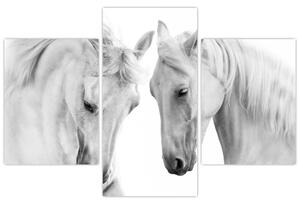 Slika belih konjev (90x60 cm)