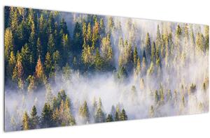 Slika dreves v megli (120x50 cm)
