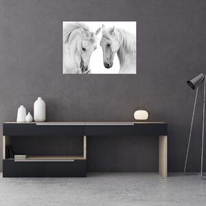 Slika belih konjev (70x50 cm)
