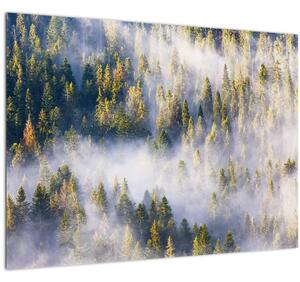Slika dreves v megli (70x50 cm)