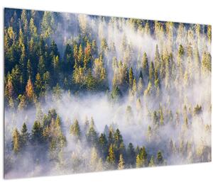 Slika dreves v megli (90x60 cm)