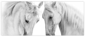 Slika belih konjev (120x50 cm)