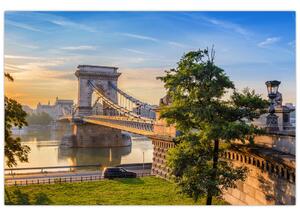 Slika - Most čez reko, Budimpešta, Madžarska (90x60 cm)