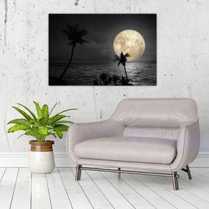 Slika - Plaža pod polno luno v sivih tonih (90x60 cm)