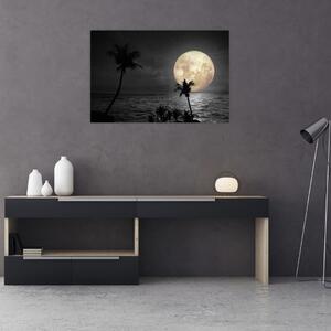 Slika - Plaža pod polno luno v sivih tonih (90x60 cm)
