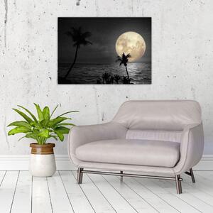 Slika - Plaža pod polno luno v sivih tonih (70x50 cm)