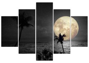 Slika - Plaža pod polno luno v sivih tonih (150x105 cm)