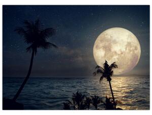 Slika - Plaža pod polno luno (70x50 cm)