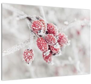 Staklena slika - Zamrznjeno sadje (70x50 cm)
