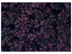 Slika temno rdečih listov (70x50 cm)