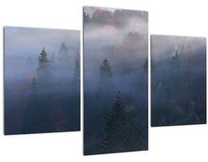 Slika - Gozd v megli, Karpati, Ukrajina (90x60 cm)