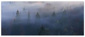 Slika - Gozd v megli, Karpati, Ukrajina (120x50 cm)