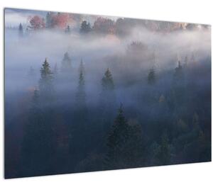 Slika - Gozd v megli, Karpati, Ukrajina (90x60 cm)