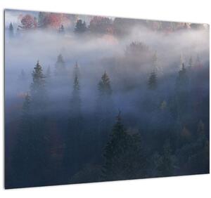 Slika - Gozd v megli, Karpati, Ukrajina (70x50 cm)