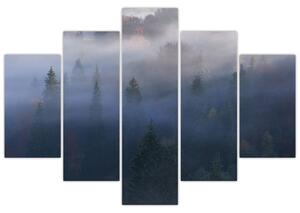 Slika - Gozd v megli, Karpati, Ukrajina (150x105 cm)
