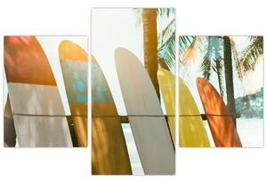 Slika - Deske za surfanje (90x60 cm)