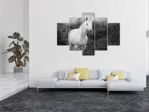 Slika belega konja na travniku, črno-bela (150x105 cm)