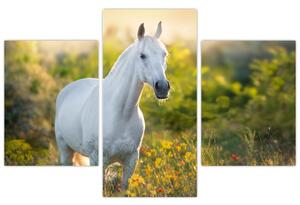 Slika belega konja na travniku (90x60 cm)