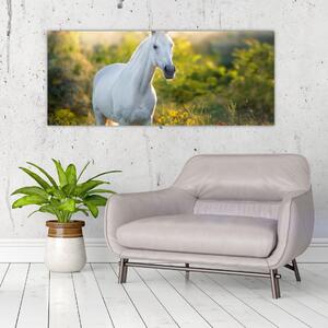 Slika belega konja na travniku (120x50 cm)