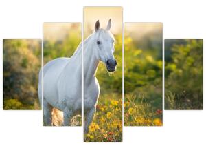 Slika belega konja na travniku (150x105 cm)