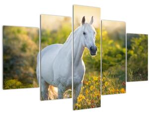 Slika belega konja na travniku (150x105 cm)
