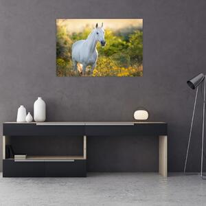Slika belega konja na travniku (90x60 cm)