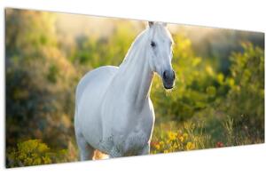 Slika belega konja na travniku (120x50 cm)