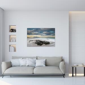 Slika - Otok Robben (90x60 cm)