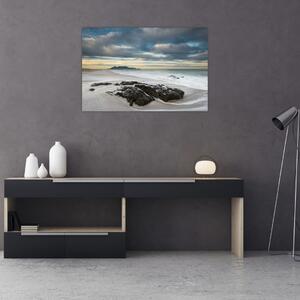 Slika - Otok Robben (90x60 cm)