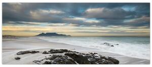 Slika - Otok Robben (120x50 cm)