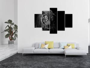 Slika divjega tigra (150x105 cm)