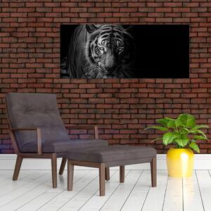Slika divjega tigra (120x50 cm)