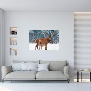 Slika jelena s srno (90x60 cm)