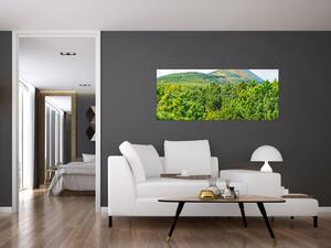 Slika - Babi Hora, Poljska (120x50 cm)