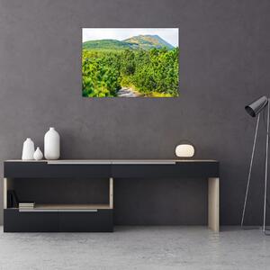 Slika - Babi Hora, Poljska (70x50 cm)