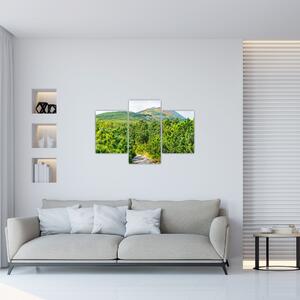 Slika - Babi Hora, Poljska (90x60 cm)