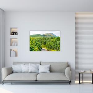 Slika - Babi Hora, Poljska (90x60 cm)