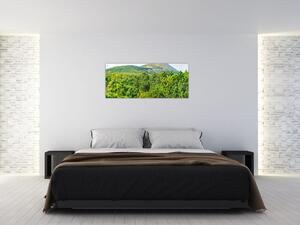 Slika - Babi Hora, Poljska (120x50 cm)