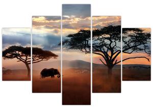 Slika - Nacionalni park Serengeti, Tanzanija, Afrika (150x105 cm)