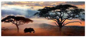 Slika - Nacionalni park Serengeti, Tanzanija, Afrika (120x50 cm)