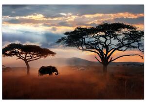 Slika - Nacionalni park Serengeti, Tanzanija, Afrika (90x60 cm)