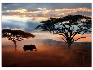 Slika - Nacionalni park Serengeti, Tanzanija, Afrika (70x50 cm)