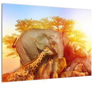 Slika afriških živali (70x50 cm)
