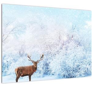 Staklena slika veličastnega jelena (70x50 cm)