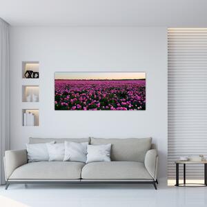 Slika - Travnik vijoličnih tulipanov (120x50 cm)