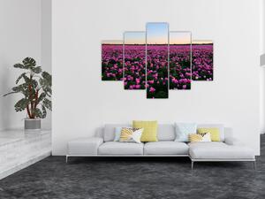Slika - Travnik vijoličnih tulipanov (150x105 cm)