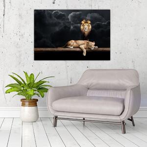 Slika - Lev in levinja v oblakih (90x60 cm)