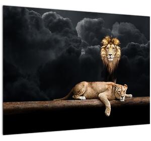 Staklena slika - Lev in levinja v oblakih (70x50 cm)