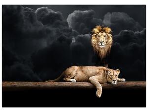 Staklena slika - Lev in levinja v oblakih (70x50 cm)